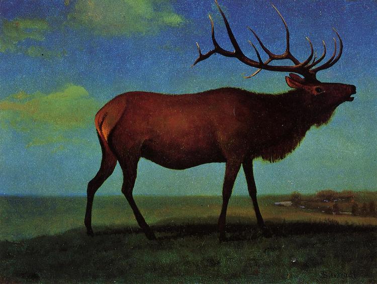 Albert Bierstadt Painting Elk